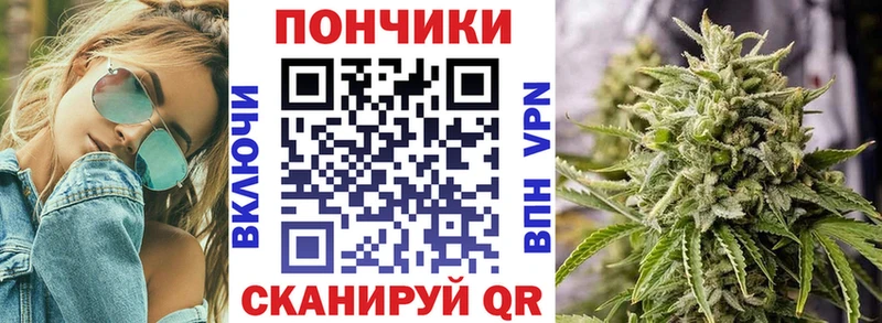 Магазины продажи наркотиков Кингисепп MEGA сайт Галлюциногенные грибы МЕФ Канабис COCAIN АМФ APVP