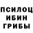 Галлюциногенные грибы ЛСД rzita flower