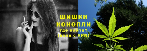 PSILOCYBIN Алексин