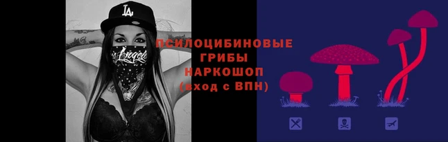 PSILOCYBIN Алексин