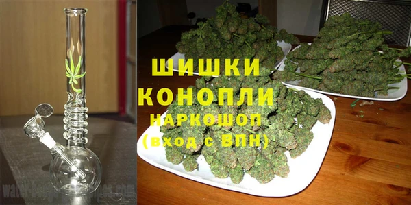 PSILOCYBIN Алексин