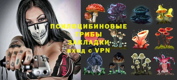 PSILOCYBIN Алексин