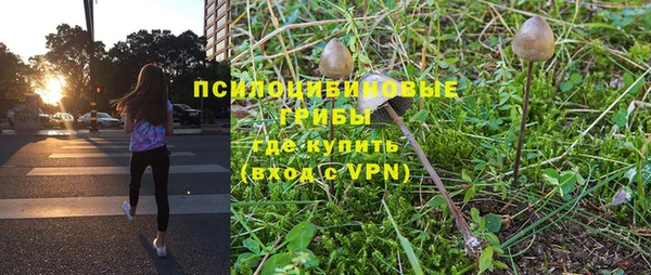 PSILOCYBIN Алексин