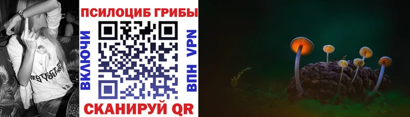 Псилоцибиновые грибы MAGIC MUSHROOMS Кингисепп